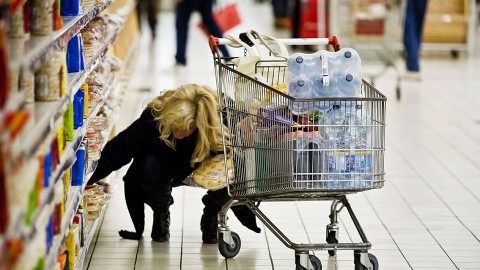 vásárlás (vásárlás)