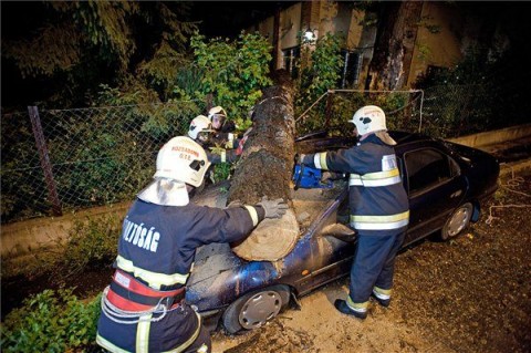 viharkár (vihar, időjárás, zivatar, széllökés, károk)