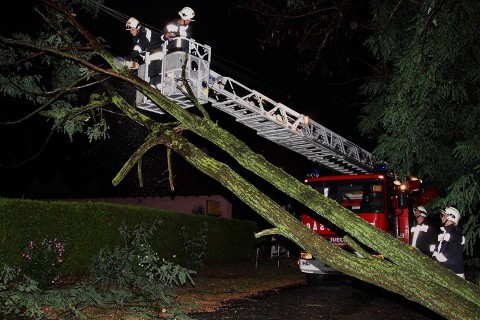 viharkar(960x640)(1).jpg (viharkár)