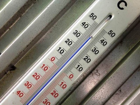 40 fok Csávolyon (40 fok Csávolyon)