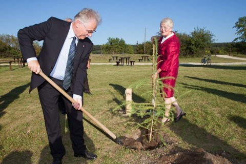 Fodor Tamás (fodor tamás, )