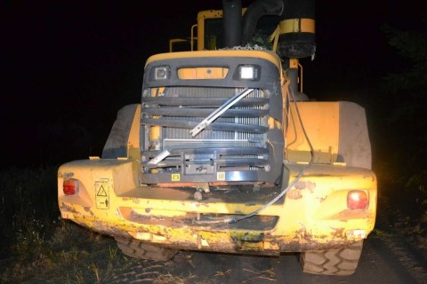 Homokrakodó Mórahalmon (Homokrakodó Mórahalmon)