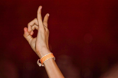 alfa (alfa fesztivál, )