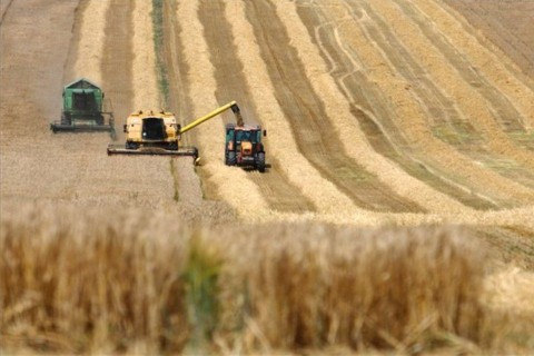 aratás (ingyenes, )