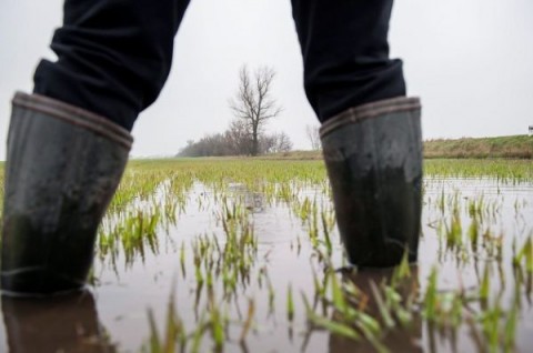 arviz(210x140)(1).jpg (árvíz, )