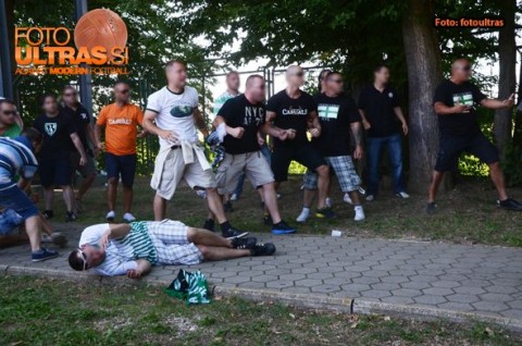 fradi (fradi. ferencváros, )