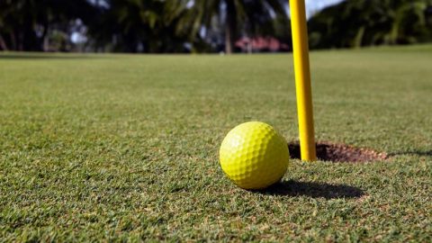 golf (golf, golflabda, )