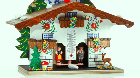 hőmérő (hőmérő, )