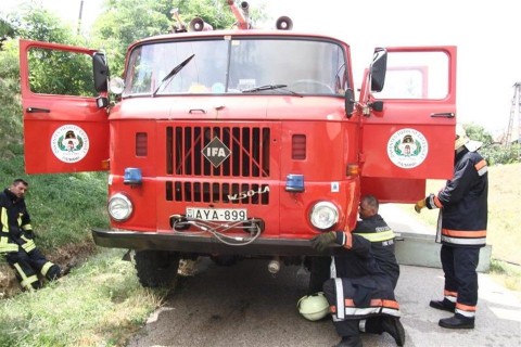 ifa(960x640).jpg (ifa)