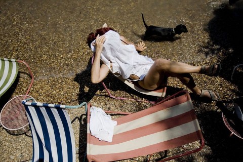 kánikula (kánikula, )