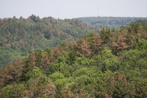 keszthelyi-hegység (keszthelyi-hegység, )