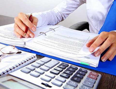 könyvelő (adóellenőrzés, )