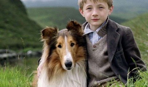 lassie (lassie)