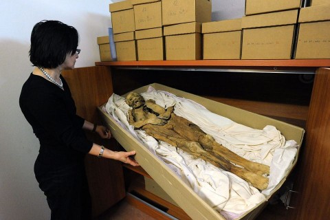 múmia kislány (múmia kislány)