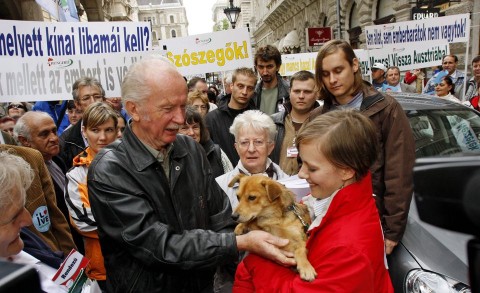 negy-mancs(210x140)(1).jpg (négy mancs, állatvédők)