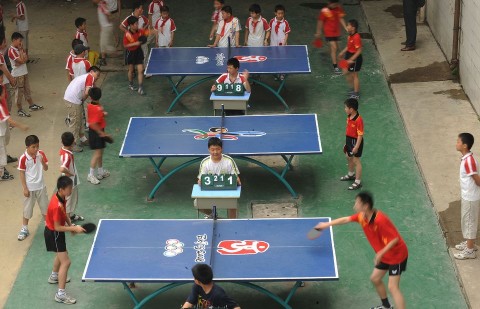 pingpong (pingpong, )