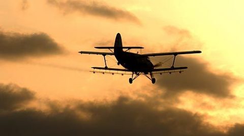 szunyogirtas(210x140)(1).jpg (szúnyogirtás, )