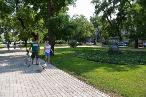 zichy liget (zichy liget)