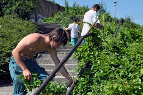 Diakmunka(210x140)(1).jpg (diákmunka)