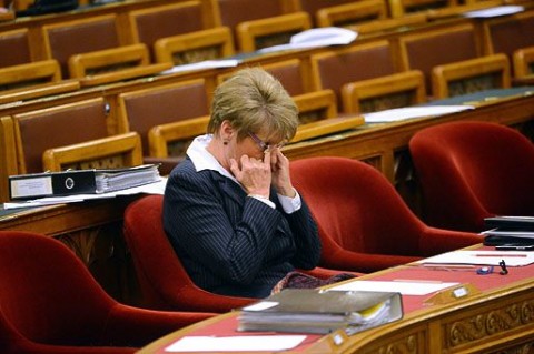 Hoffmann Rózsa (Hoffmann Rózsa)