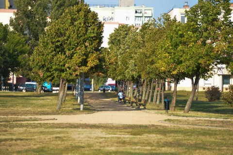 Királyok Parkja (Királyok Parkja)