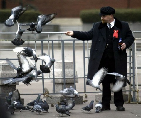 Lenin hasonmás, galambokkal (lenin, hasonmás, galamb, moszkva, )