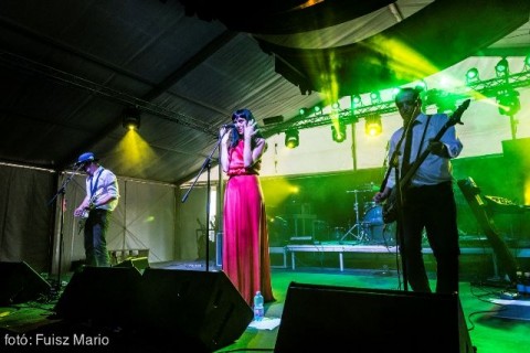 Magashegyi Underground (Magashegyi Underground)