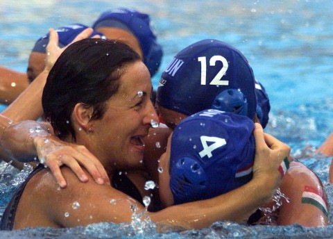 Sipos Edit (sipos edit)