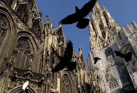 Stephansdom (Stephansdom)