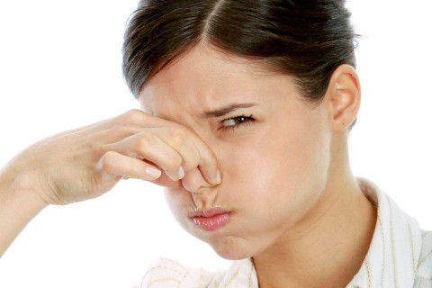 bűz szag orr (szag, orr)