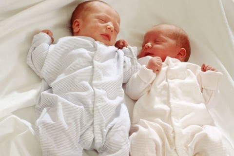 csecsemők (csecsemő, újszülött, )