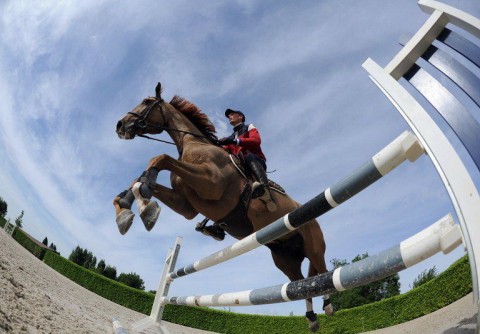 dijugratas(210x140)(1).jpg (díjugratás, )