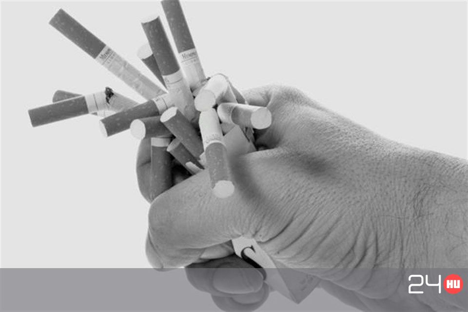 Több mint ezer csík, zárjegy nélküli cigi lapult egy teherautó ...