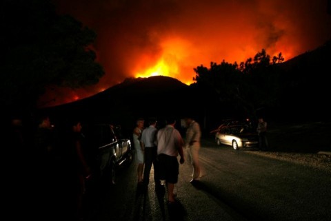 erdotuz(960x640)(5).jpg (erdőtűz, )