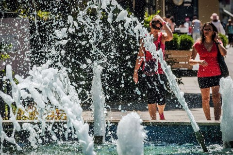 kanikula(1)(960x640)(1).jpg (kánikula, )