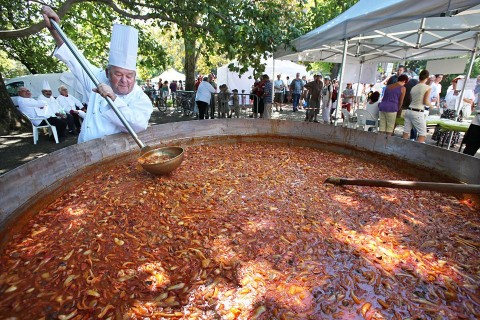 lecso(210x140)(1).jpg (lecsó, )