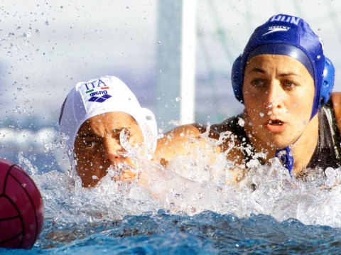 sipos edit (sipos edit, )