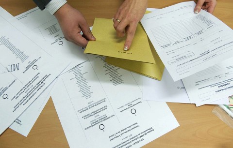 szavazólap (szavazólap, )