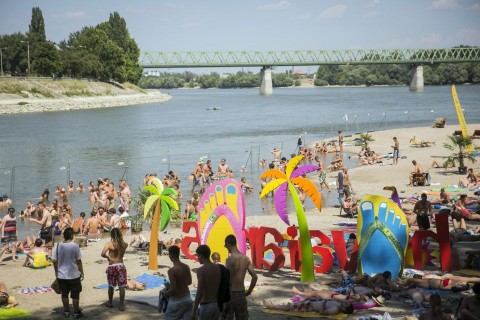 sziget (sziget, )