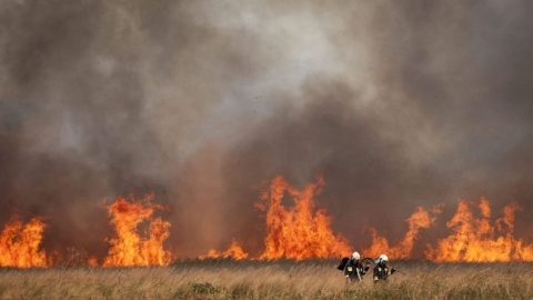 tűz a hortobágyon (hortobágy, nádas, tűz, )