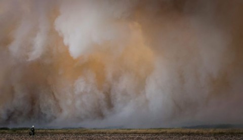 tűz a hortobágyon (hortobágy, nádas, tűz, )