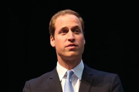 vilmos-herceg(1)(960x640).jpg (vilmos, )