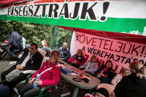 Éhségsztrájk (éhségsztrájk)