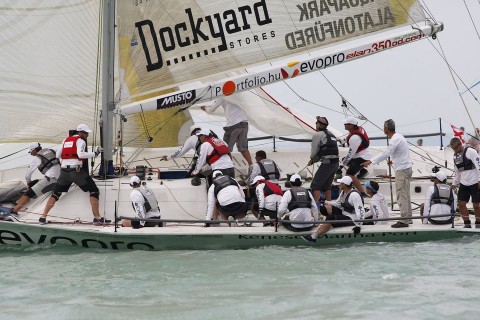 Litkey Farkas (litkey farkas, )