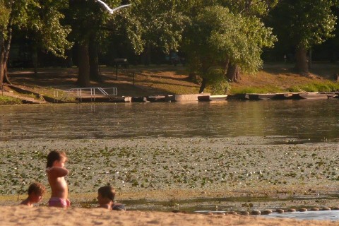 Martely(960x640).jpg (strand, mártély)