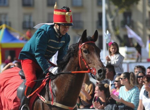 Németh János (nemzeti vágta, )