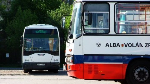 alba-volan(210x140)(1).jpg (alba volan, )