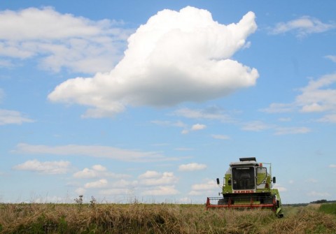 aratas(960x640)(1).jpg (aratás, felhő, )