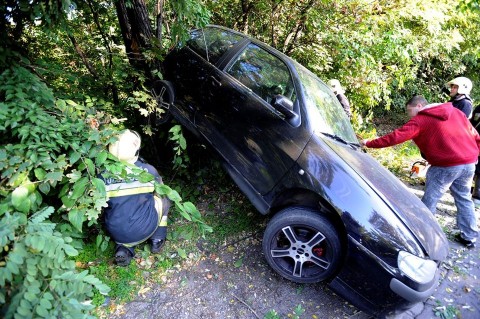 autó a fák között (autóbaleset, )