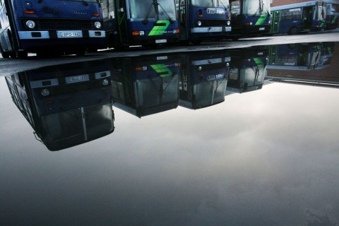 bkv busz (bkv busz, )